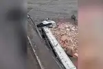 Camión cae al Río León: conductor ileso tras tragedia en Ruta 9