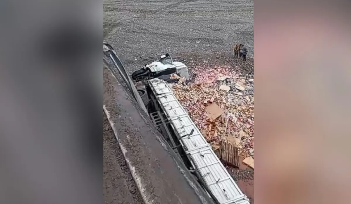 Camión cae al Río León: conductor ileso tras tragedia en Ruta 9