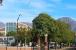 Docentes universitarios de La Rioja marchan con una semana de paro en protesta por la Ley de Financiamiento