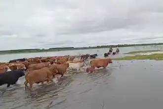 El Niño muestra disparidad regional: Litoral golpeado, centro aún protegido