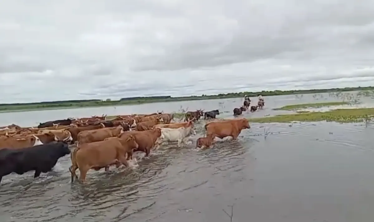 El Niño muestra disparidad regional: Litoral golpeado, centro aún protegido