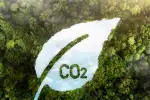 El Senado aprueba la ley de mercados de carbono: ¿Una oportunidad verde o un riesgo ambiental?