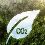 El Senado aprueba la ley de mercados de carbono: ¿Una oportunidad verde o un riesgo ambiental?