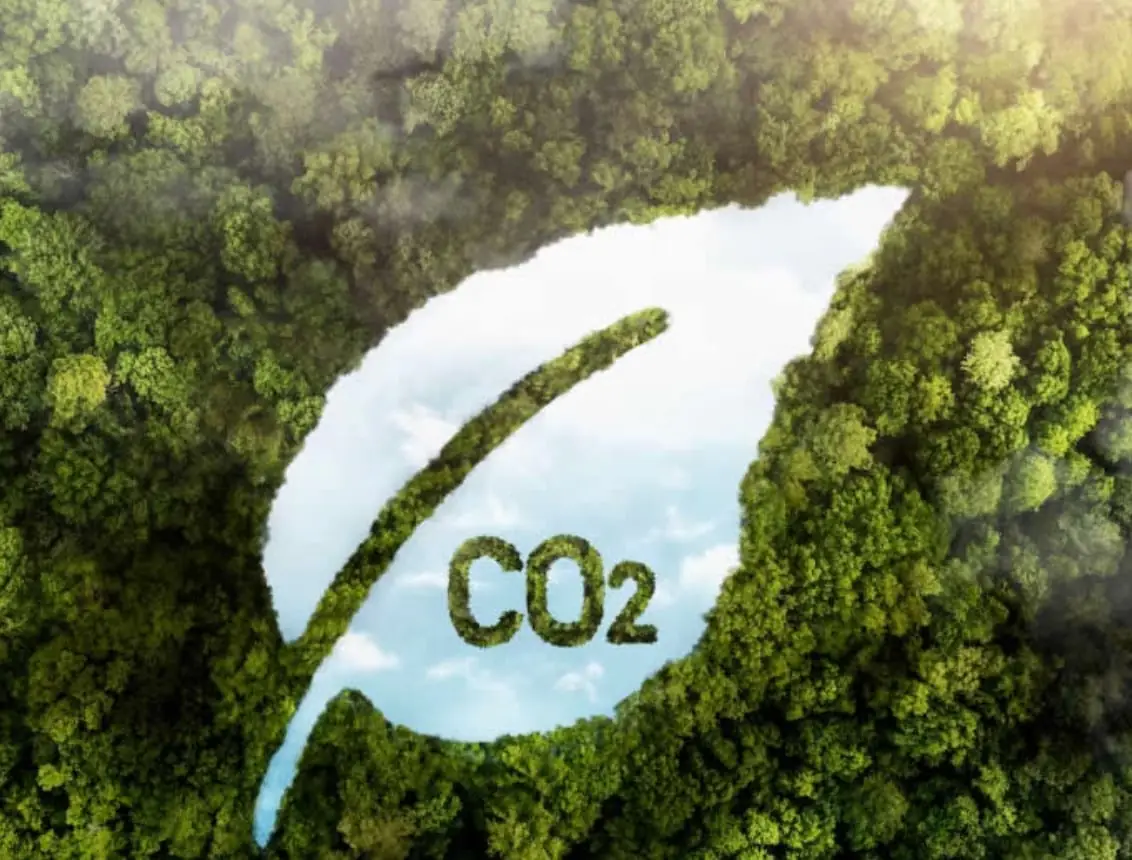 El Senado aprueba la ley de mercados de carbono: ¿Una oportunidad verde o un riesgo ambiental?