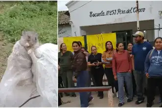 Escuela de Yuto se convierte en zona de ratas: padres bloquean el acceso y exigen acción inmediata