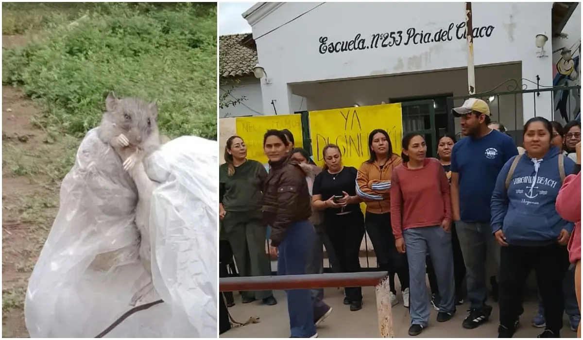 Escuela de Yuto se convierte en zona de ratas: padres bloquean el acceso y exigen acción inmediata