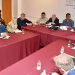 Evaluación de la adhesión parcial a la ley eléctrica: ¿qué riesgo corre el Estado y los municipios?