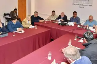 Evaluación de la adhesión parcial a la ley eléctrica: ¿qué riesgo corre el Estado y los municipios?