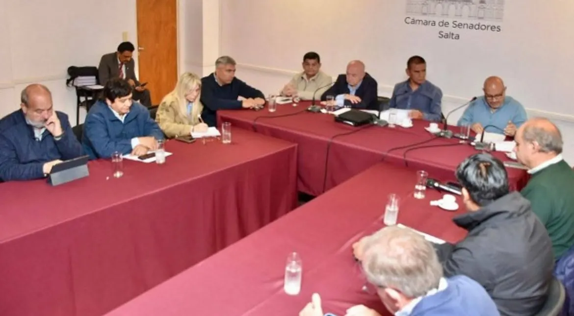 Evaluación de la adhesión parcial a la ley eléctrica: ¿qué riesgo corre el Estado y los municipios?