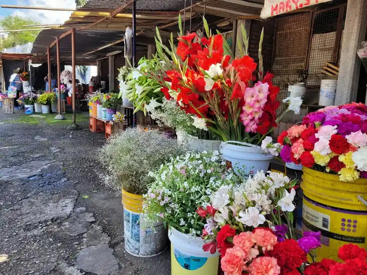 Flores y sol: floristas de Jujuy esperan una venta record en el Día de los Fieles Difuntos