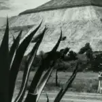 Jujuy se sumerge en la selva maya: "México Biocultural" llega a Canal 2