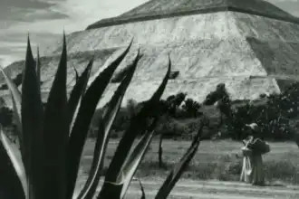 Jujuy se sumerge en la selva maya: "México Biocultural" llega a Canal 2