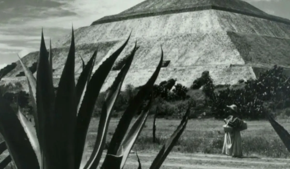 Jujuy se sumerge en la selva maya: "México Biocultural" llega a Canal 2