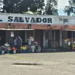 Jujuy: Servicios de transporte y cementerios ajustados por el Día de los Fieles Difuntos