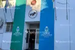 Legisladores del Chaco impulsan leyes de adopción animal y buscan rendir cuentas a la ATP