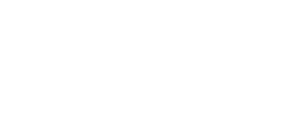 Base Informativa