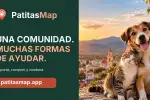 Placa de PatitasMap con un perro y un gato frente a la ciudad de Salta y el lema Una comunidad, muchas formas de ayudar