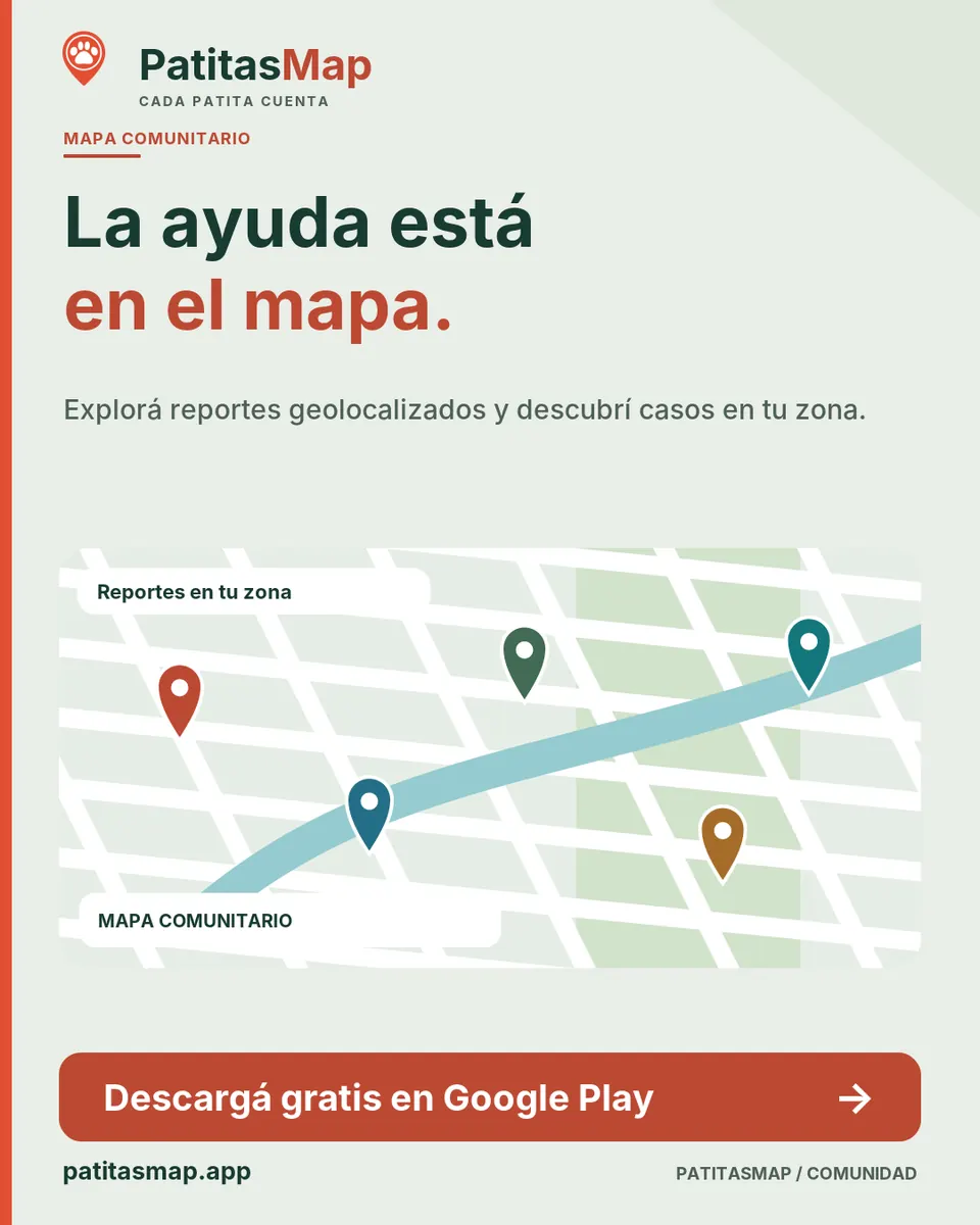 Placa de PatitasMap que muestra un mapa con marcadores de reportes de animales en la zona