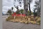 Pronóstico en Termas de Río Hondo: Lluvias hoy y alivio para el jueves