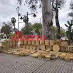 Pronóstico en Termas de Río Hondo: Lluvias hoy y alivio para el jueves