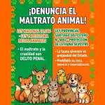 Protección Animal en Termas: 25 Años de Rescate, Castraciones y Defensa de la Fauna Silvestre