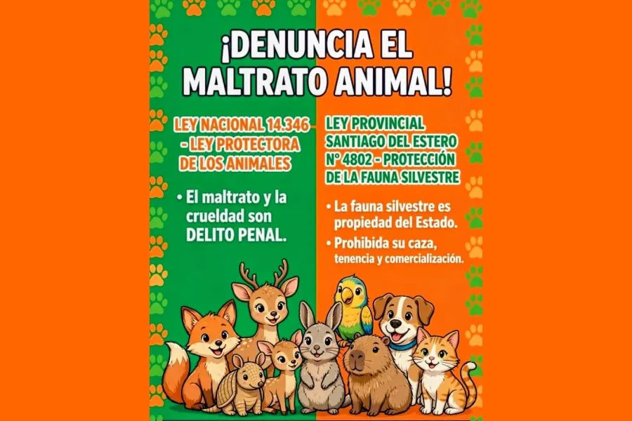 Protección Animal en Termas: 25 Años de Rescate, Castraciones y Defensa de la Fauna Silvestre