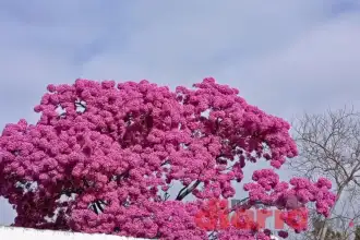 ¡Sábado soleado en Santiago del Estero! Temperaturas cómodas y sin lluvia