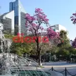 Santiago del Estero se prepara para un caluroso final de octubre