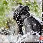 Tormentas aisladas y calor intenso en Santiago del Estero este fin de semana