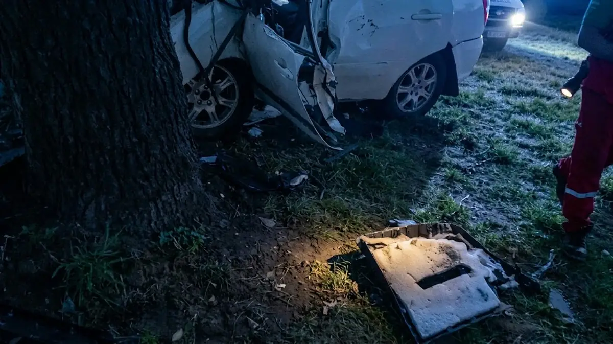 Tragedia en Maimará: 17 años pierde la vida tras choque con árbol