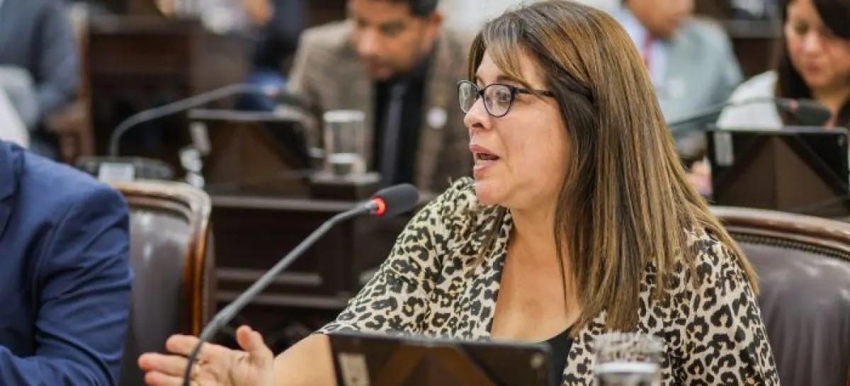 UCR: La diputada Gabriela Rodríguez llama a un "camino del medio" frente a los extremos políticos