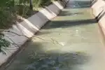 Vertido de aguas servidas amenaza la salud de Perico y El Carmen
