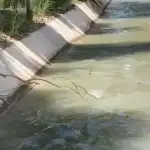 Vertido de aguas servidas amenaza la salud de Perico y El Carmen